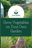 Live Green Beetroot Vegetable Seeds - Pack of 30 Seeds (OP)
