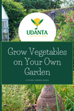 Udanta Pak Choi Vegetable Seeds For Kitchen Garden Avg 30-40 Seeds Pkts
