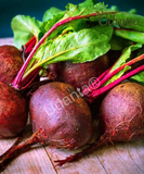 Plantogallery I Beetroot Vegetable Seeds For Home Gardening