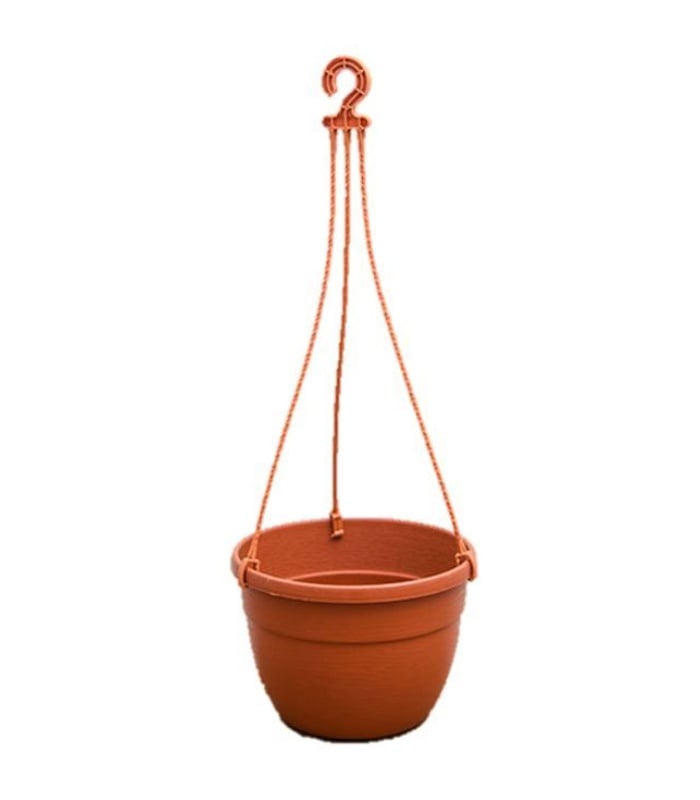 Clorsica Basket Hanging Pot 7 Inch (Pack of 5 Pots Terracotta)
