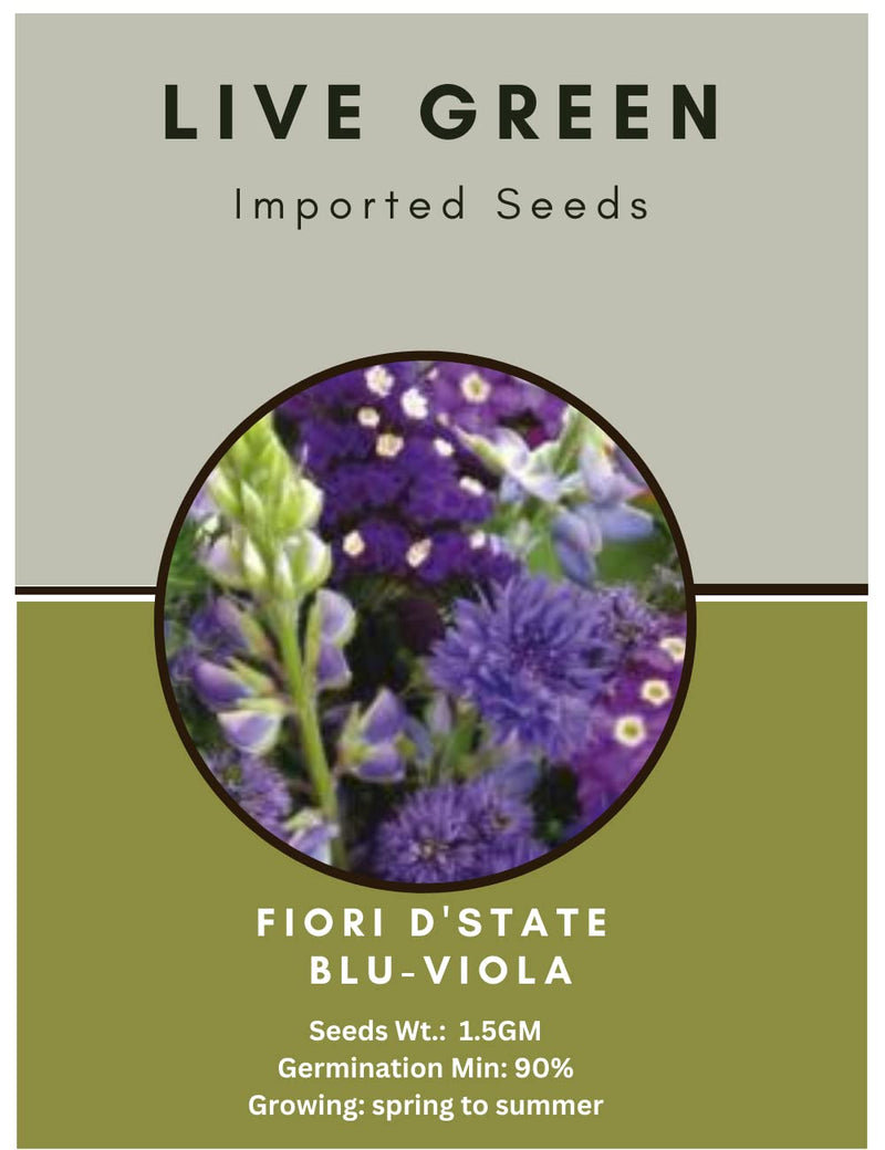 Live Green Imported Seeds - Fiori D'state Blu-Viola Pink-Purple Mix Flower Seeds New Varieties Collections for Summer Gardening - Pack 1.5gm Seeds