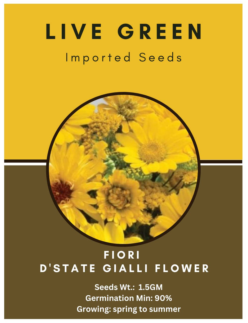 Live Green Imported Seeds - Fiori D'state Gialli Flower Seeds New Mix Varieties Collections for Summer Gardening - Pack of 1.5gm Seeds