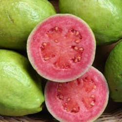 Guava-akra-fruit