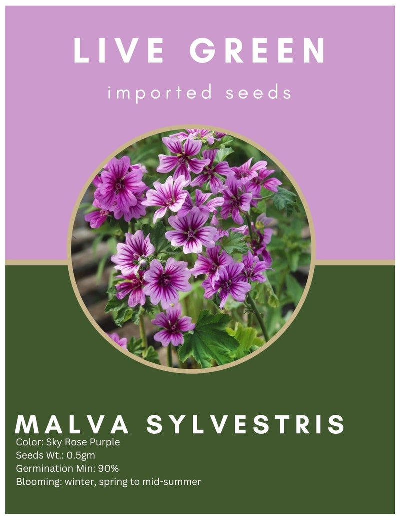 Live Green Imported Seeds - Malva Sylvestris Beautiful Perennial Flower Seeds for Home Gardening - Pack of 0.5gm Seeds