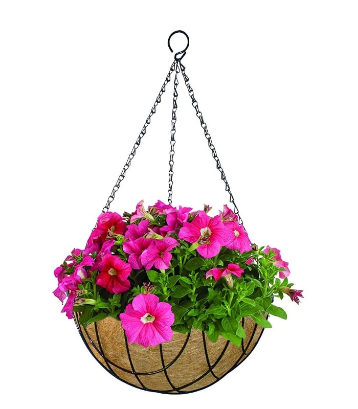 Metal Big Holes Hanging Basket Pot 14 Inch With Coir & Chain (Pack of 5 Black) By Plantogallery