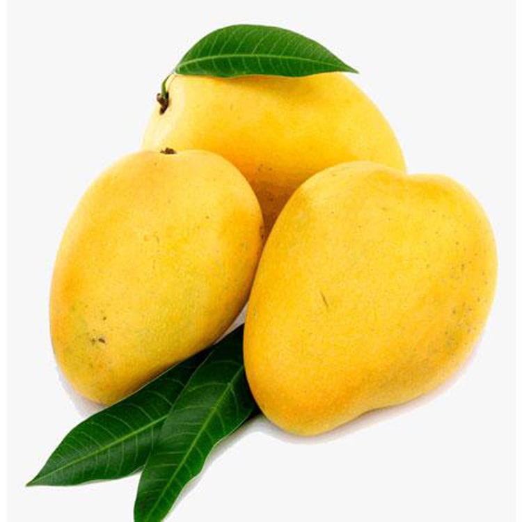 Mango Neelam- Grafted Fruit Plants