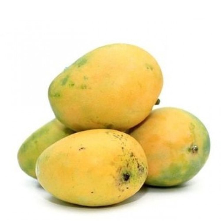 Mango Neelam- Grafted Fruit Plants