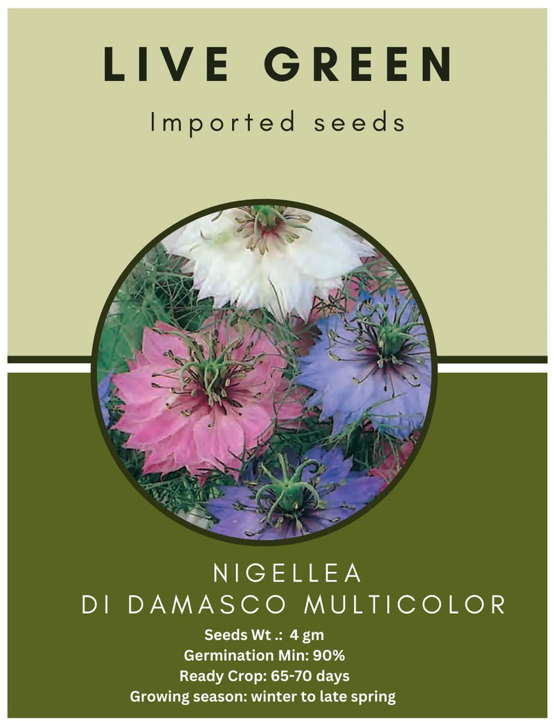 Live Green Imported Seeds - Nigella Damasco Mix Flower Seeds for Gardening - Pack of 4gm Seeds