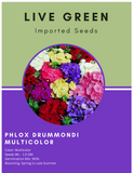 Live Green Imported Seeds - Phlox Drummondii Mix Flower Seeds For Gardening - Pack of 1.5gm Seeds