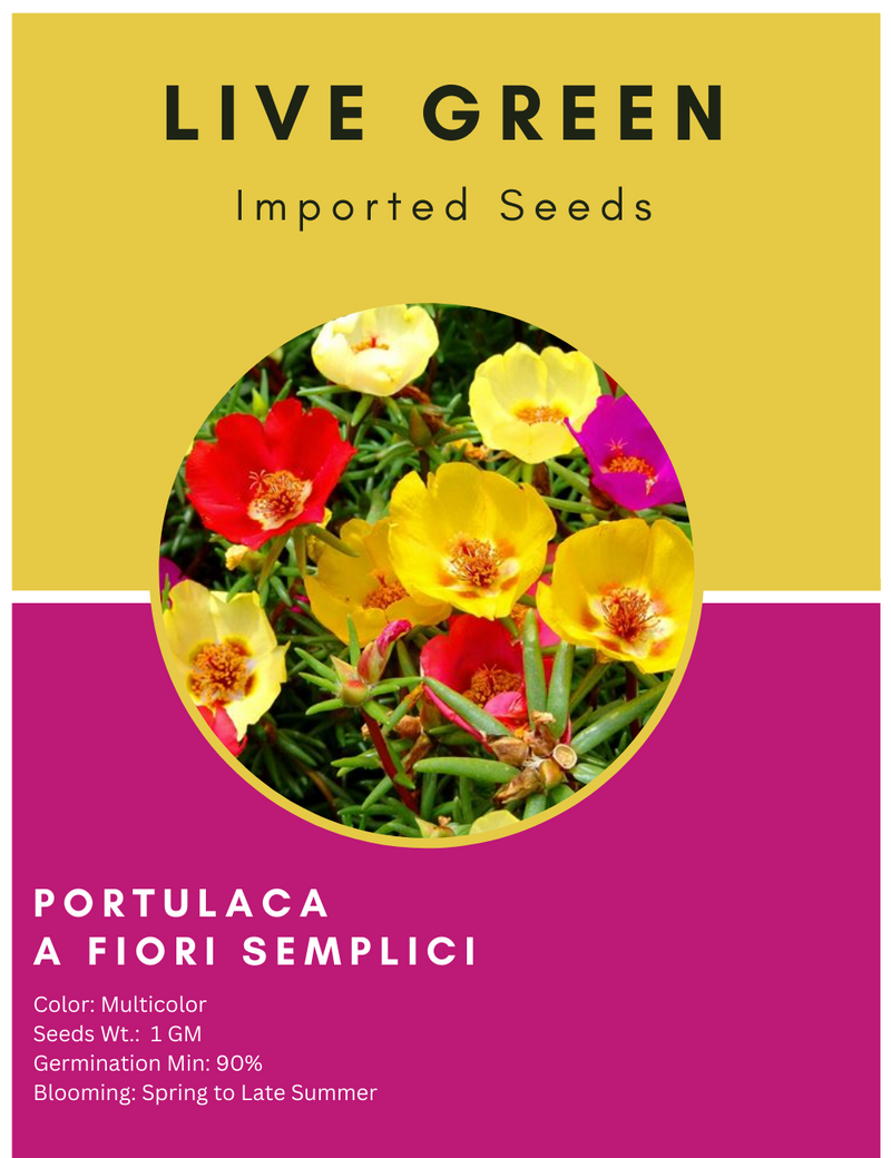 Live Green Imported Seeds - Portulaca Fiori Semplici Mix Flower Seeds for Perennial Gardening - Pack of 1gm Seeds
