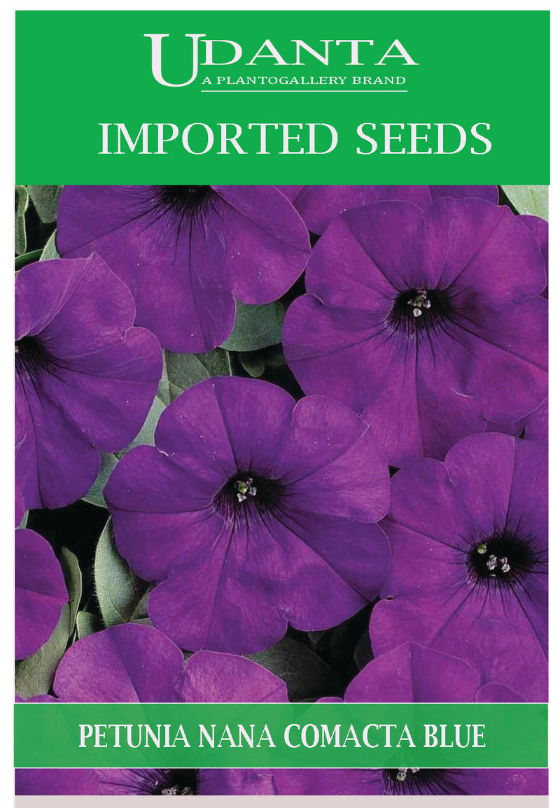 Udanta Imported Flower Seeds - Petunia Nana Compatta For Hanging Winter Flower Seeds - Qty 0.5Gm (Blue)