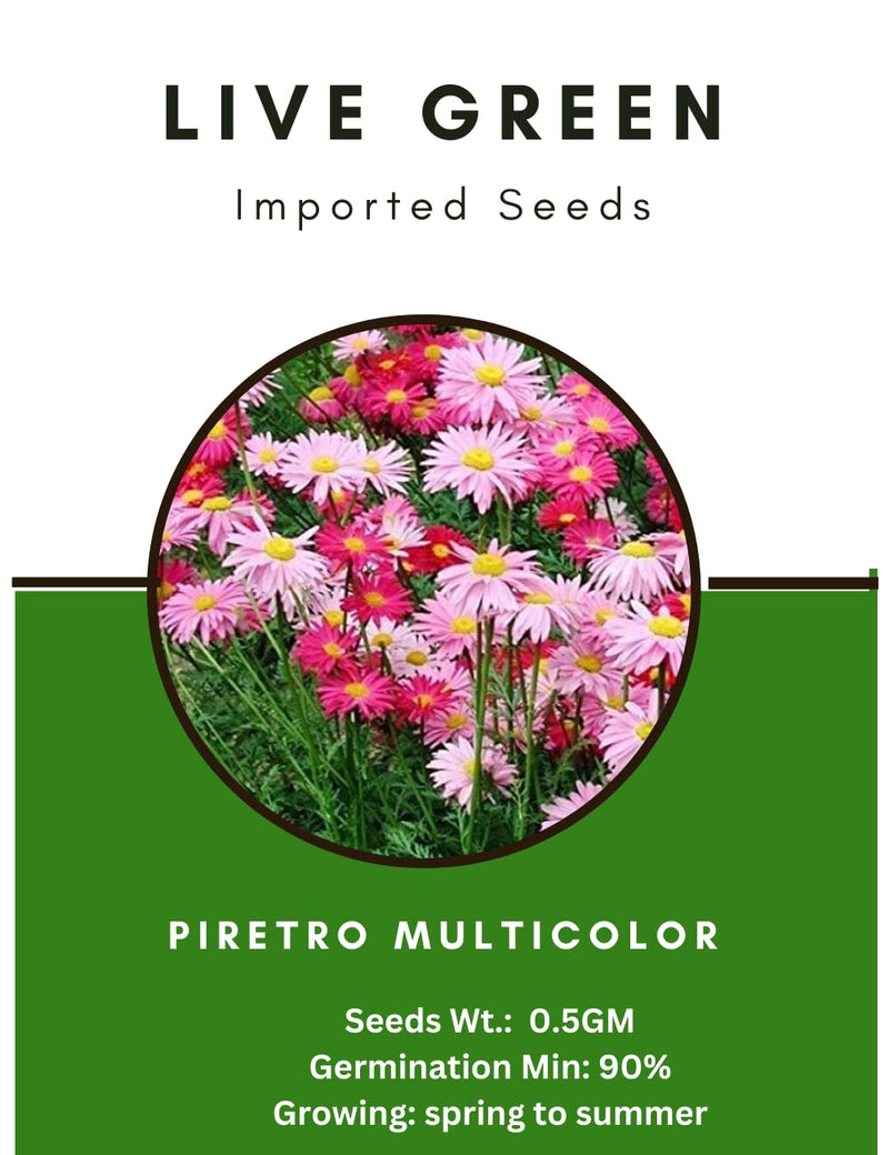 Live Green Imported Seeds - Piretro Robinson's Mix Flower Seeds for Garden - Pack of 0.5gm Seeds