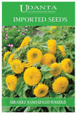 Udanta Imported Flower Seeds - Girasole Nano Giallo Sunflower Sungold Summer Flower Seeds - Qty 4Gm (Yellow)