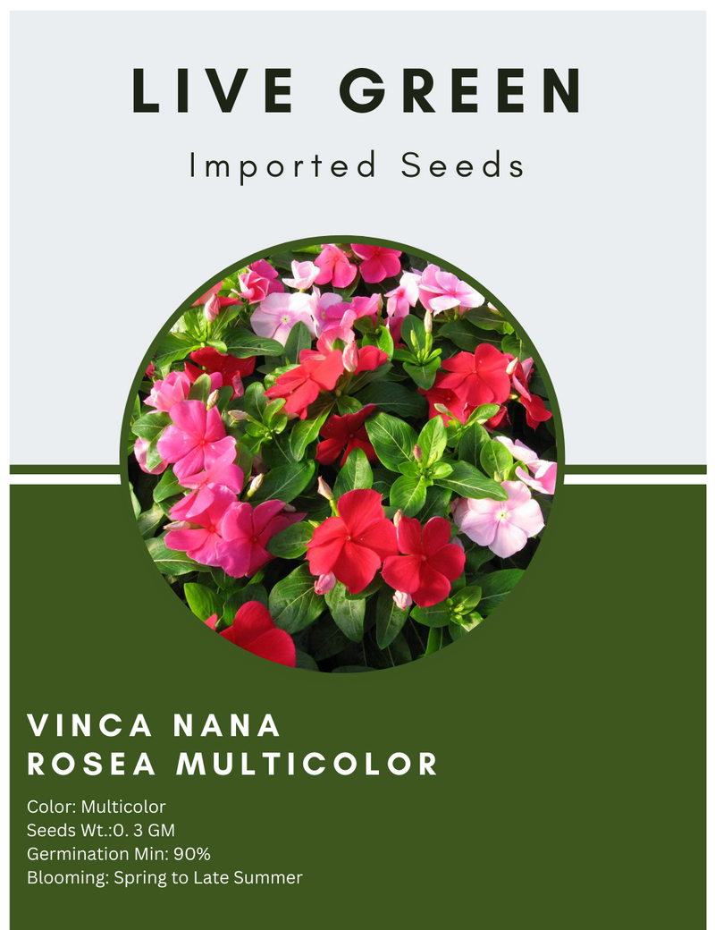 Live Green Imported Seeds - Vinca Nana Rosa Mix Sadabahar Flower Seeds for all Season - Pack of 0.3gm Seeds