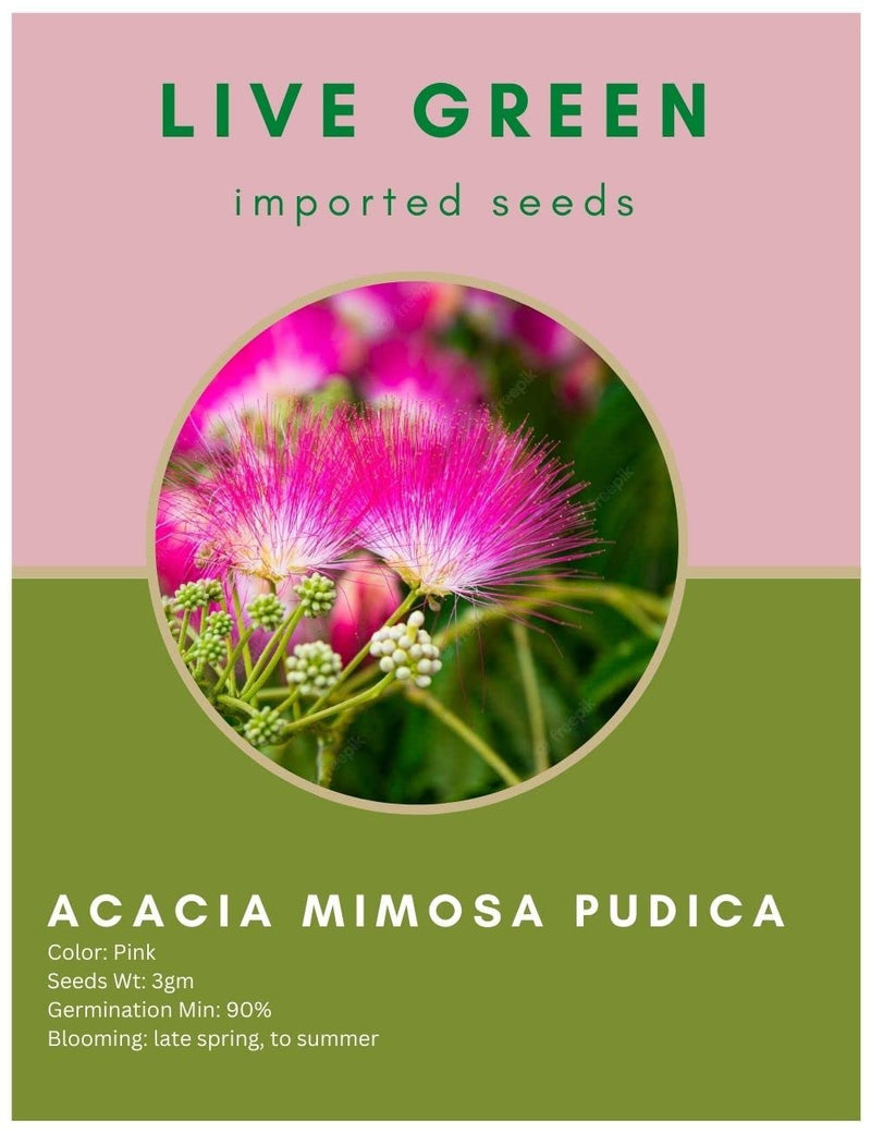 Live Green Imported Seeds - Acacia Mimosa Pudica Flower Seeds - Pack of 3gm Seeds