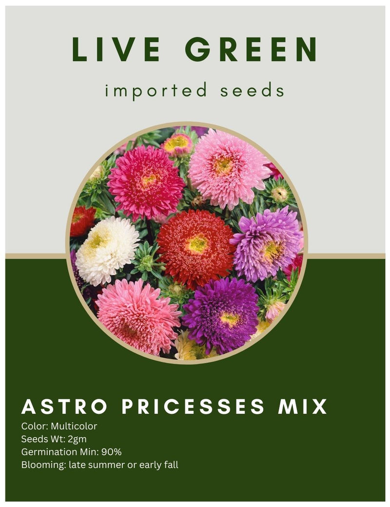 Live Green Imported Seeds - Aster Princesses Mix Flower Seeds - Pack of 2gm Seeds