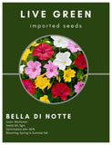 Live Green Imported Seeds – Bella Di Notte Mix Gulabas Flower Seeds for All Season - Pack of 5gm Seeds