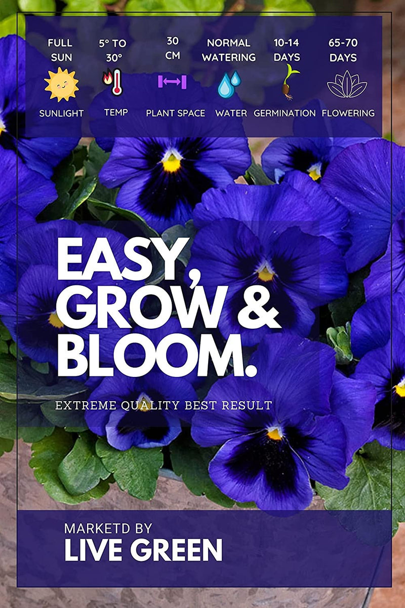 Live Green Imported Seeds - Butterfly Pansy Viola Del Pensiero Gigante Svizzera Blu Flower Seeds - Pack of 0.8gm Seeds