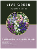 Live Green Imported Seeds - Campanula A Grandi Fiori Bellflowers Mix Flower Seeds - Pack of 2gm Seeds