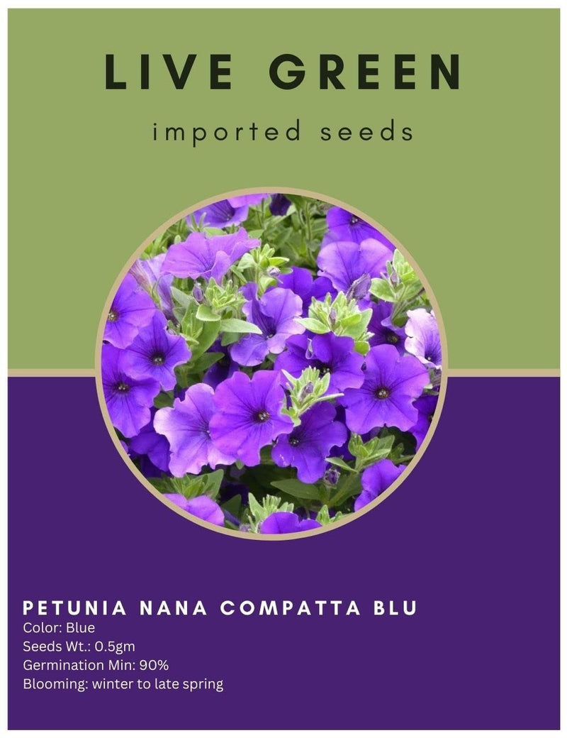 Live Green Imported Seeds - petunia nana compatta blu Flower Seeds - Pack of 0.5gm Seeds