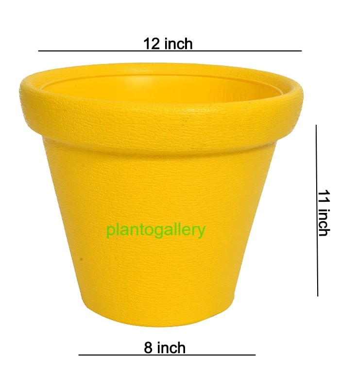Crown Planter 12 Inch Round Pots (Pack of 5 Pots Yellow)