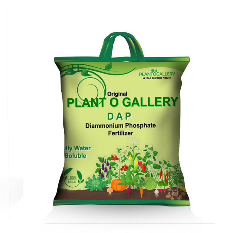DAP Fertilizer for Plants 900 gm By Plantogallery