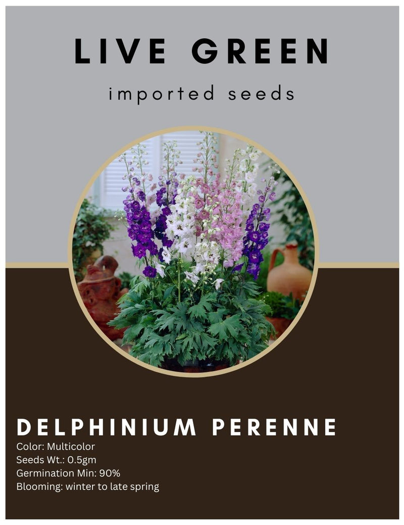 Live Green Imported Seeds - Delphinium Perenne Lakspur Double Mix Flower Seeds Best for Home Gardening - Pack of 0.5gm Seeds