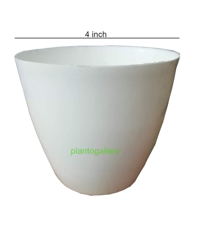 Emerald Pot 4 Inch Round Pots (Pack of 10 Pots Sky White) By Plantogallery