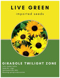 Live Green Imported Seeds - Sunflower Girasole Twilight Zone Yellow-Red Flower Seeds - Pack of 1.5gm Seeds