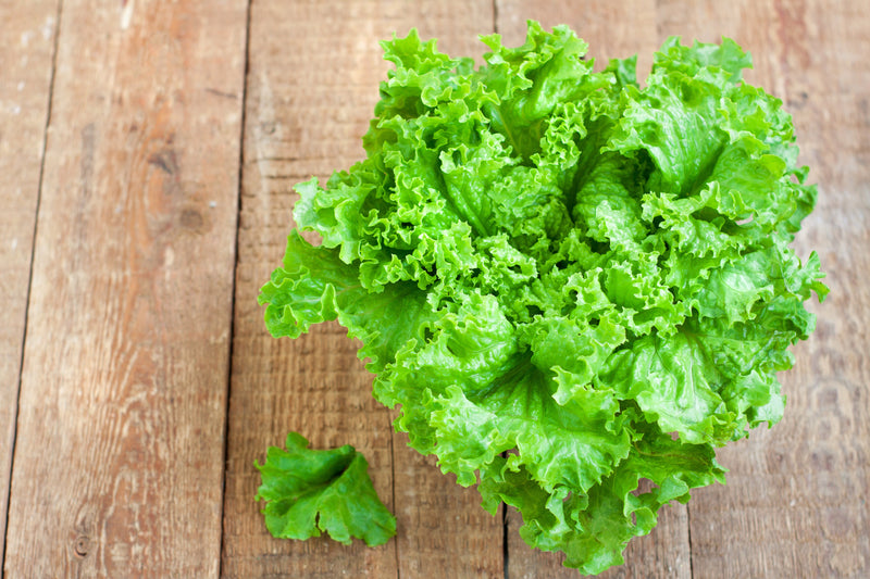 lettuce-green-leafy-vegetable-seed-for kitchen-garden