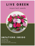 Live Green Imported Seeds - Impatiens Ibrido Mix Flower Seeds Best for Home Gardening - Pack of 0.3gm Seeds