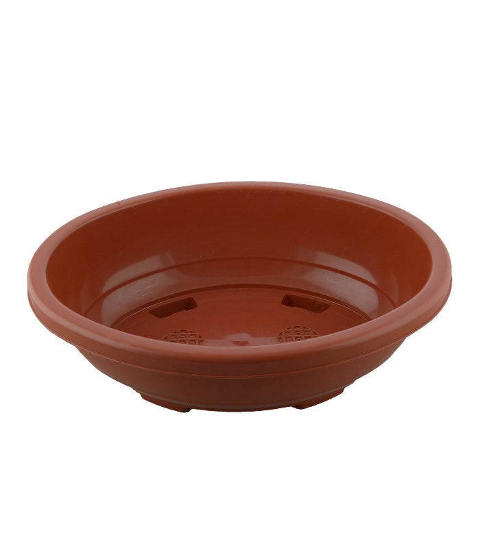 Imperial Oval Bonsai Tray 21 Inch (Pack of 5 Pots Terracotta) By Plantogallery