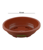 Imperial Oval Bonsai Tray 16 Inch (Pack of 5 Pots Terracotta) By Plantogallery