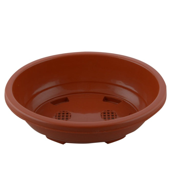 Imperial Oval Bonsai Tray 21 Inch (Pack of 5 Pots Terracotta) By Plantogallery