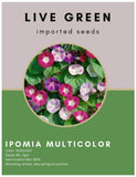 Live Green Imported Seeds - Ipomea Mix Climbing Flower Seeds Best for All Season - Pack of 5gm Seeds