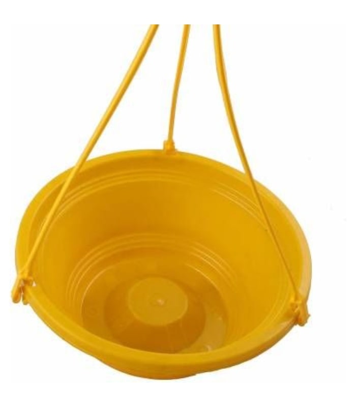 Karishma Basket Hanging Pot 10 Inch With Stick (Pack of 5 Pots Yellow) By Plantogallery