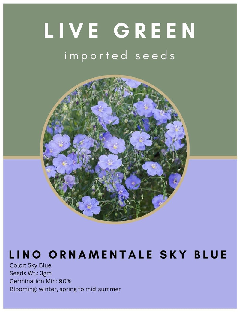 Live Green Imported Seeds - Flaxseed Lino Ornamental Sky Blue Flower Seeds For All Season Gardening - Pack of 3gm Seeds