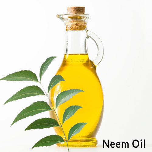 Organic Neem Oil For Spray On Plants (100ml Pack)  By Plantogallery