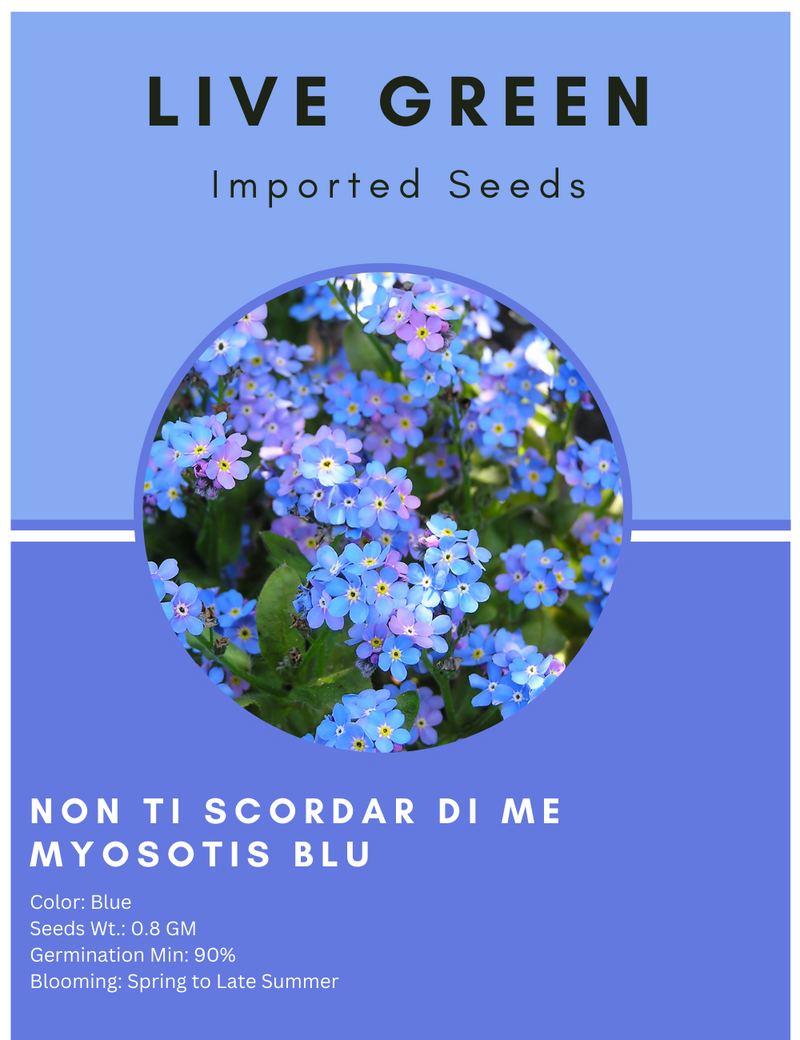 Live Green Imported Seeds - Non Ti Scordar Di Me Myosotis Blue Flower Seeds For Summer Season - Pack of 0.8gm Seeds