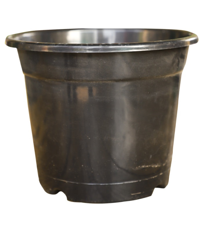 Plastic Round Nursery Pot 12 Inch (Pack of 5 Pots Black) By Plantogallery