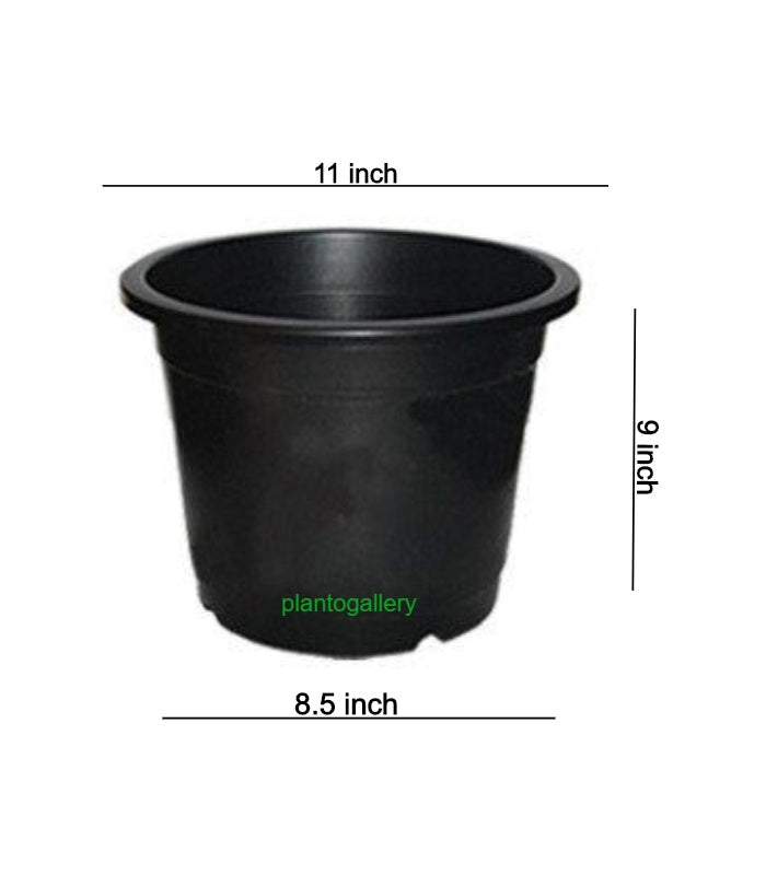 Plastic Round Nursery Pot 12 Inch (Pack of 5 Pots Black) By Plantogallery