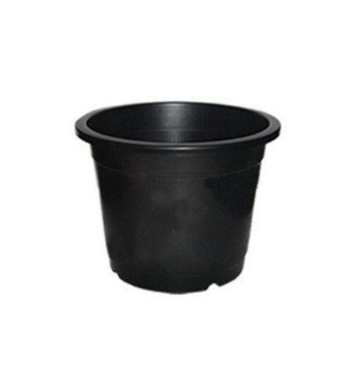 Plastic Round Nursery Pot 3 Inch (Pack of 10 Pots Black) By Plantogallery