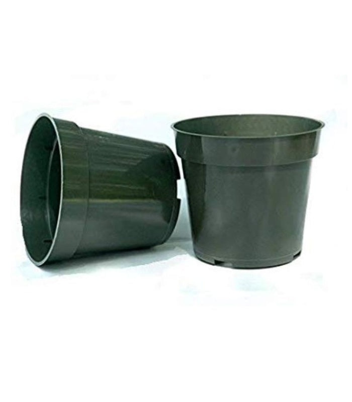 Plastic Round Nursery Pot 4 Inch (Pack of 10 Pots Black) By Plantogallery