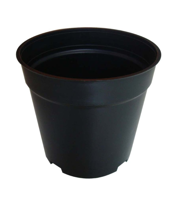 Plastic Round Nursery Pot 8 Inch  (Pack of 10 Pots Black) By Plantogallery