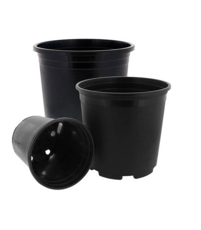Plastic Round Nursery Pot 6 Inch (Pack of 5 Pots Black) By Plantogallery