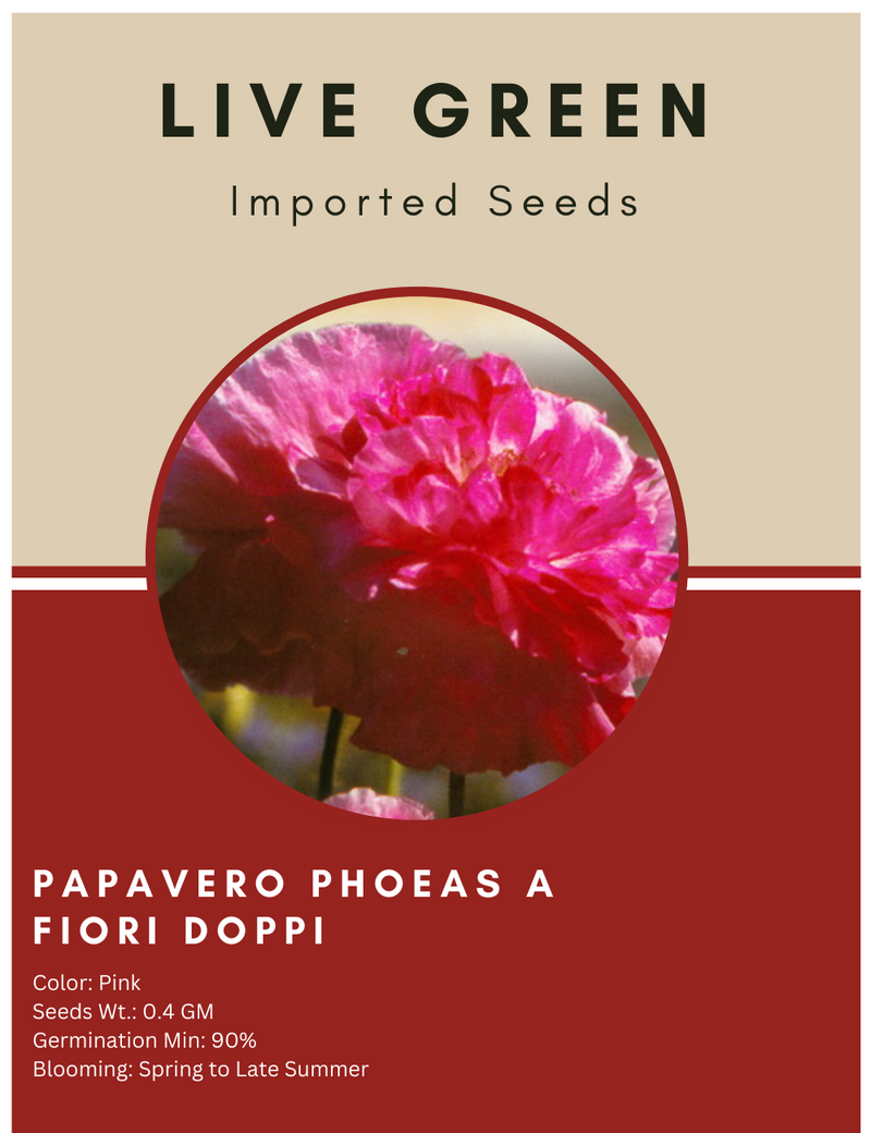 Live Green Imported Seeds - Papavero Rhoeas Fiori Doppi Poppy Double Pink Flower Seeds - Pack of 4gm Seeds