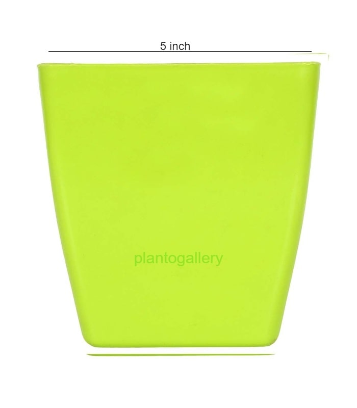 Pearl Pot 5 Inch Square Pots (Pack of 5 Pots Green)  By Plantogallery