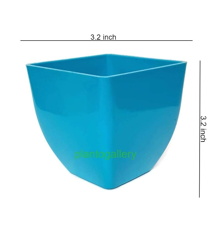 Pearl Pot 3.2 Inch Square Pots (Pack of 10 Pots Sky Blue)  By Plantogallery