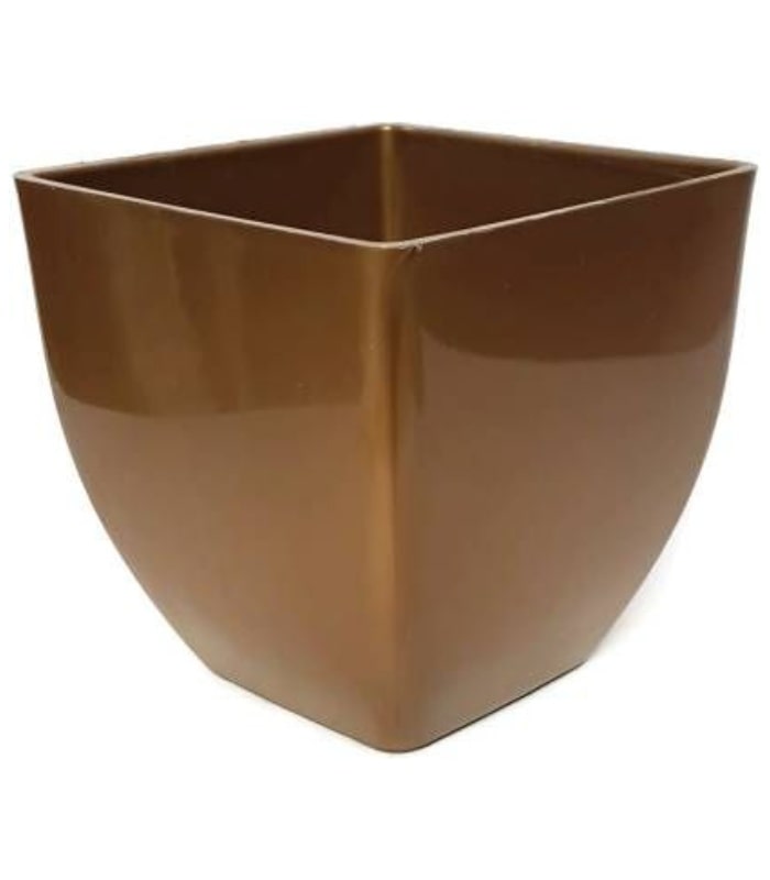 Pearl Pot 3.2 Inch Square Pots (Pack of 10 Pots Brown)  By Plantogallery