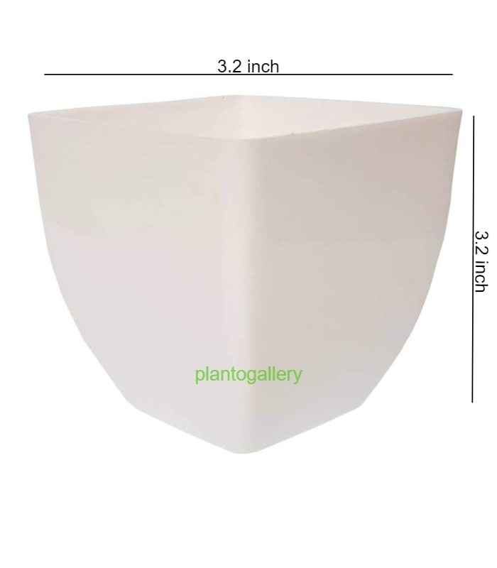 Pearl Pot 3.2 Inch Square Pots (Pack of 10 Pots White)  By Plantogallery